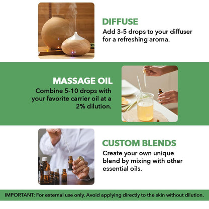 Majestic Pure Tea Tree Essential Oil – 3.4 Fl Oz, 100% Pure & Natural with Glass Dropper