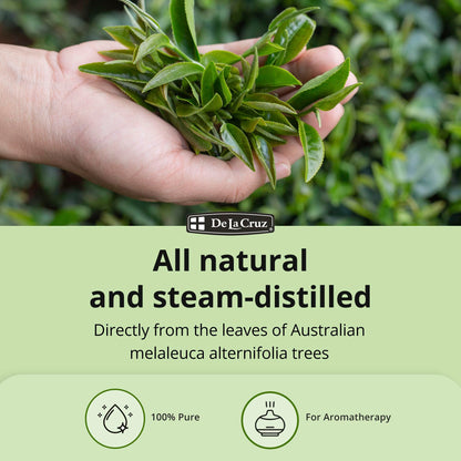 De La Cruz 100% Pure Tea Tree Essential Oil from Australia - Steam Distilled for Aromatherapy - 1 FL OZ (30 mL)