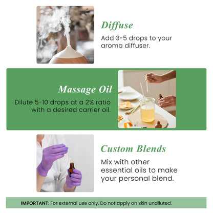 Handcraft Blends Tea Tree Essential Oil – 1 Fl Oz | 100% Pure & Natural