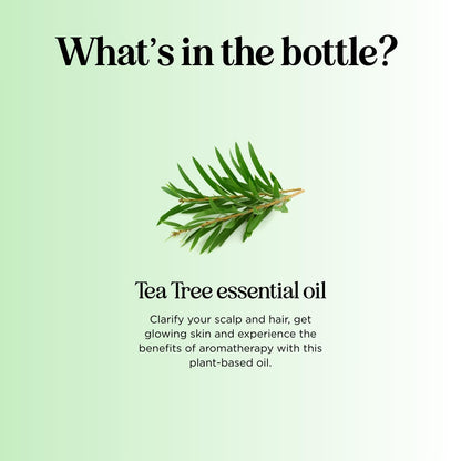 Pure Tea Tree Oil for Hair, Skin & Nails – 100% Pure, Undiluted (1 Fl Oz)