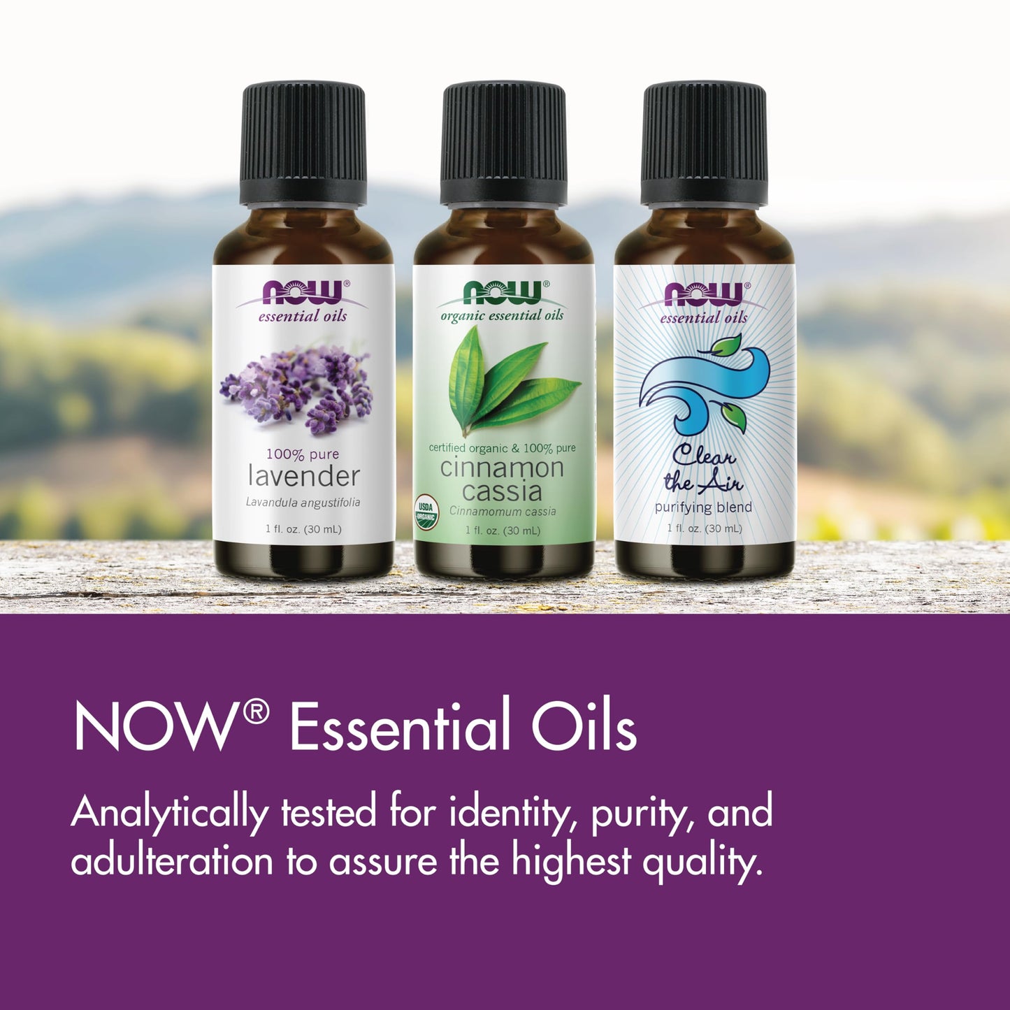 NOW Foods Tea Tree Oil 16 oz – 100% Pure, Steam Distilled Essential Oil