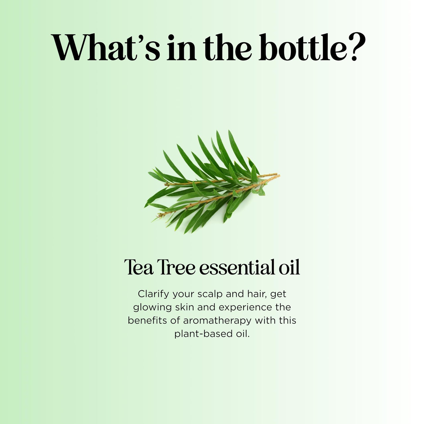 Pure Tea Tree Oil 4 oz – 100% Pure & Undiluted (Hair, Skin & Nails)