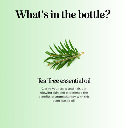 Pure Tea Tree Oil 4 oz – 100% Pure & Undiluted (Hair, Skin & Nails)