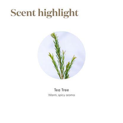 Tea Tree Essential Oil 5ml – Melaleuca Alternifolia by Young Living