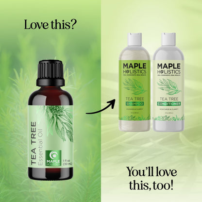 Pure Tea Tree Oil for Hair, Skin & Nails – 100% Pure, Undiluted (1 Fl Oz)
