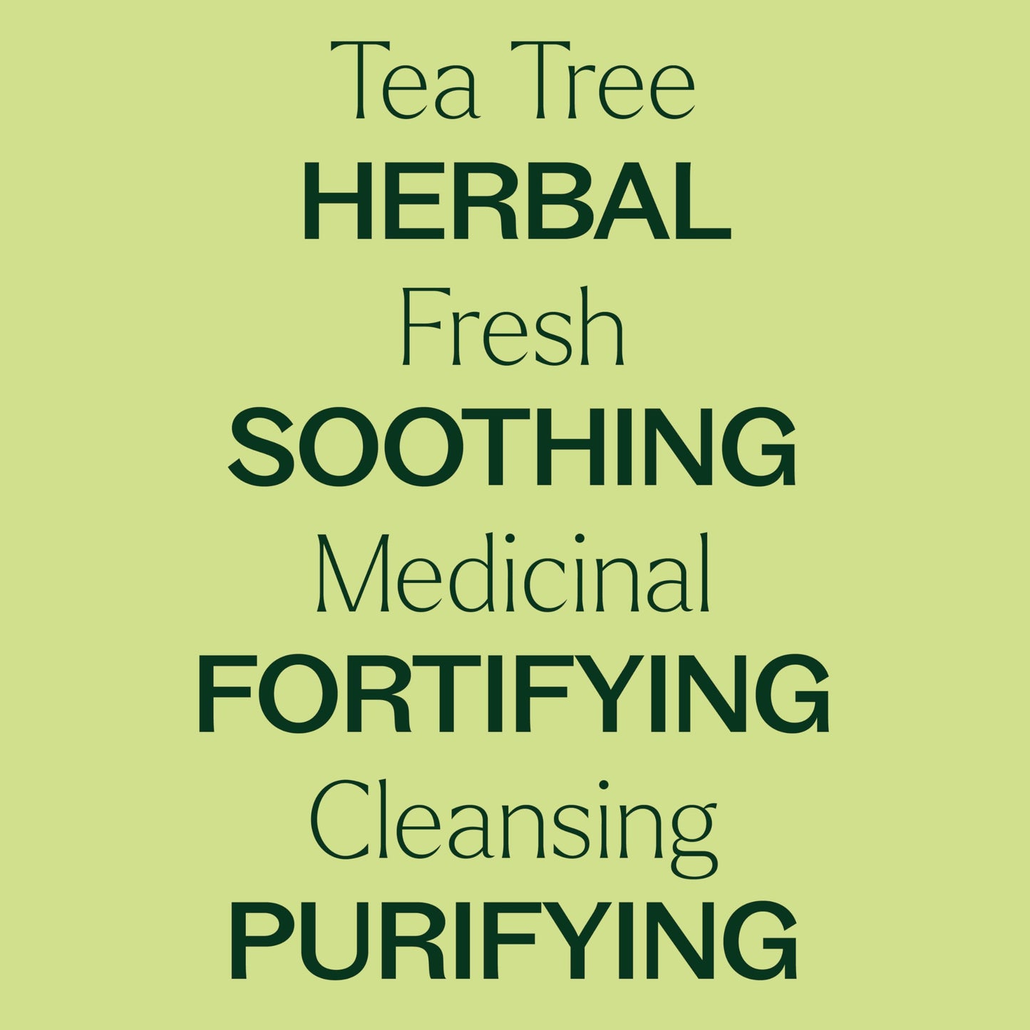 Tea Tree Essential Oil - 100% Pure & Undiluted (10 mL) | Plant Therapy
