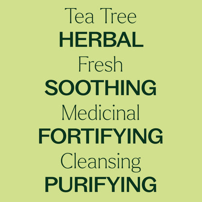 Tea Tree Essential Oil - 100% Pure & Undiluted (10 mL) | Plant Therapy