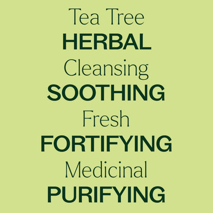Plant Therapy Tea Tree Oil – 100 mL (3.3 oz) | 100% Pure, USDA Organic, Undiluted, Therapeutic Grade