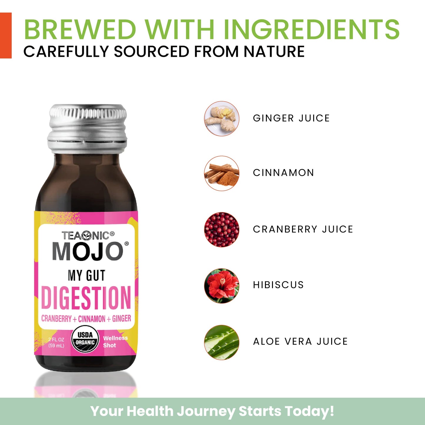 TEAONIC My Gut Mojo: Digestive Detox Drinks – Cranberry, Ginger, Cinnamon | USDA-Certified, Sugar-Free, Caffeine-Free | 12 x 2oz Bottles