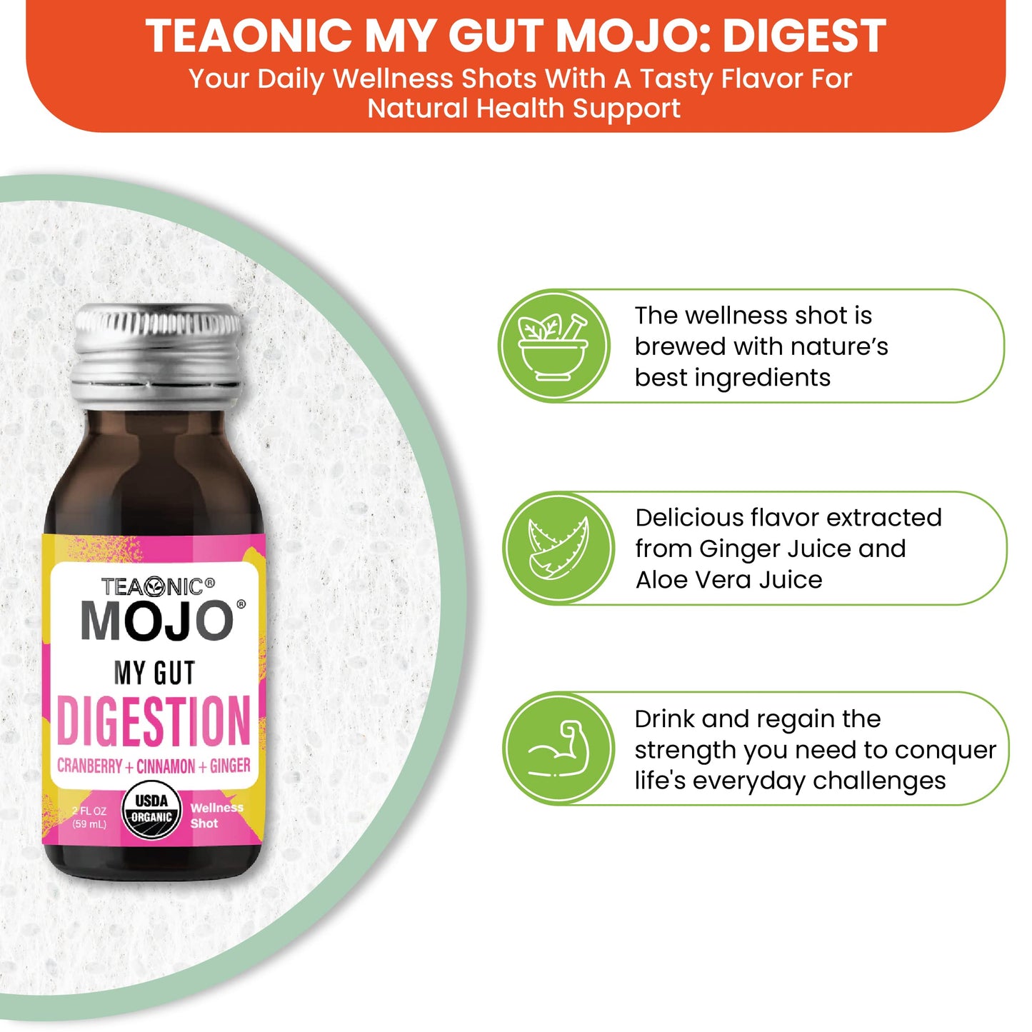 TEAONIC My Gut Mojo: Digestive Detox Drinks – Cranberry, Ginger, Cinnamon | USDA-Certified, Sugar-Free, Caffeine-Free | 12 x 2oz Bottles