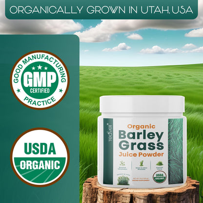 Teaveli Organic Barley Grass Juice Powder – Raw Utah-Grown, Gluten-Free Detox, 8 oz (226 g)