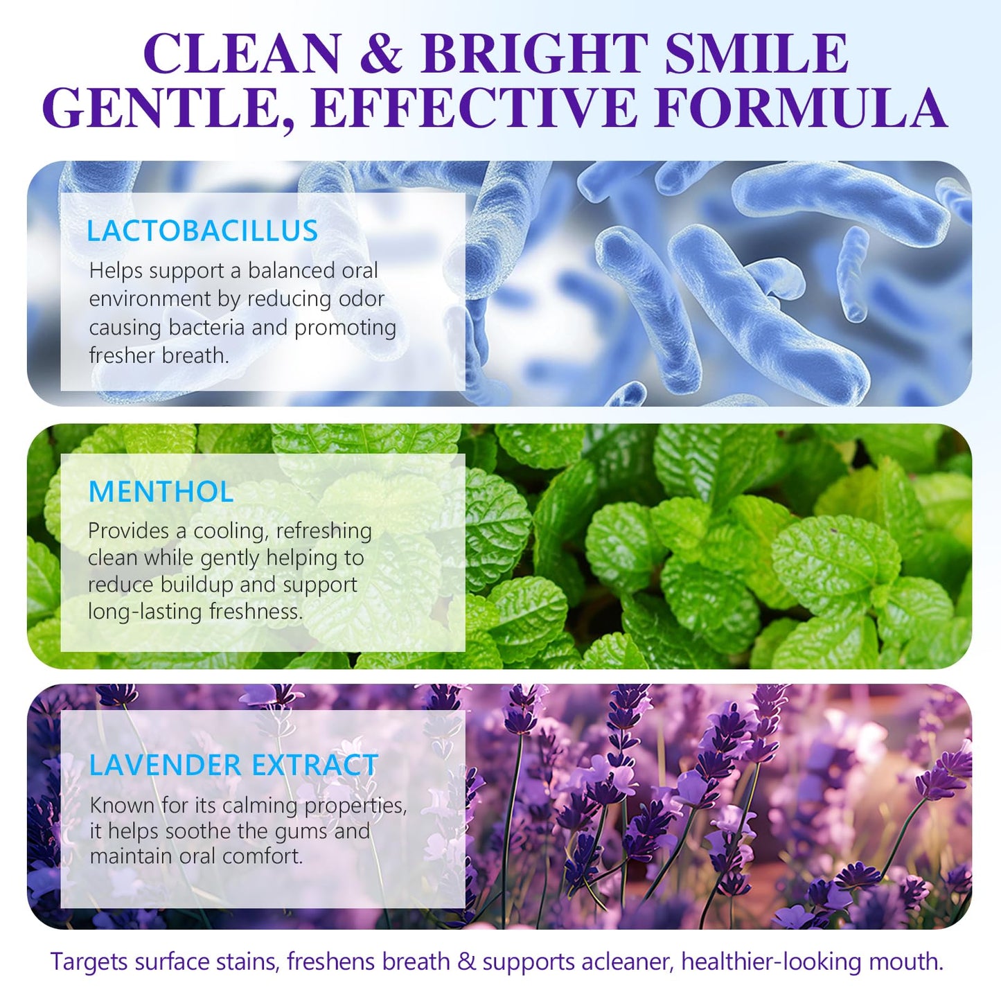 Teeth Whitening Powder – Enamel-Safe Mint & Lavender 1.2 oz | Shimmer Deluxe