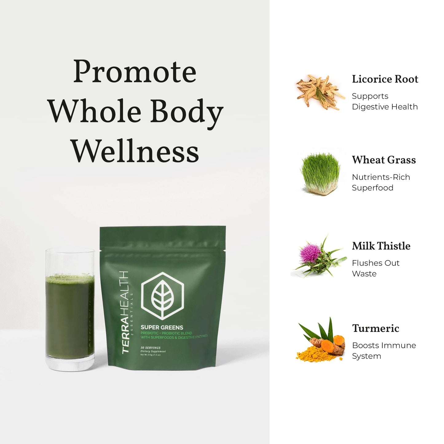 Terra Health Essentials Super Greens | Organic Greens Powder with Probiotics | 30 Servings
