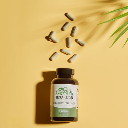 TERRA ORIGIN Digestive Enzymes with Probiotics & Prebiotics | 60 Caps