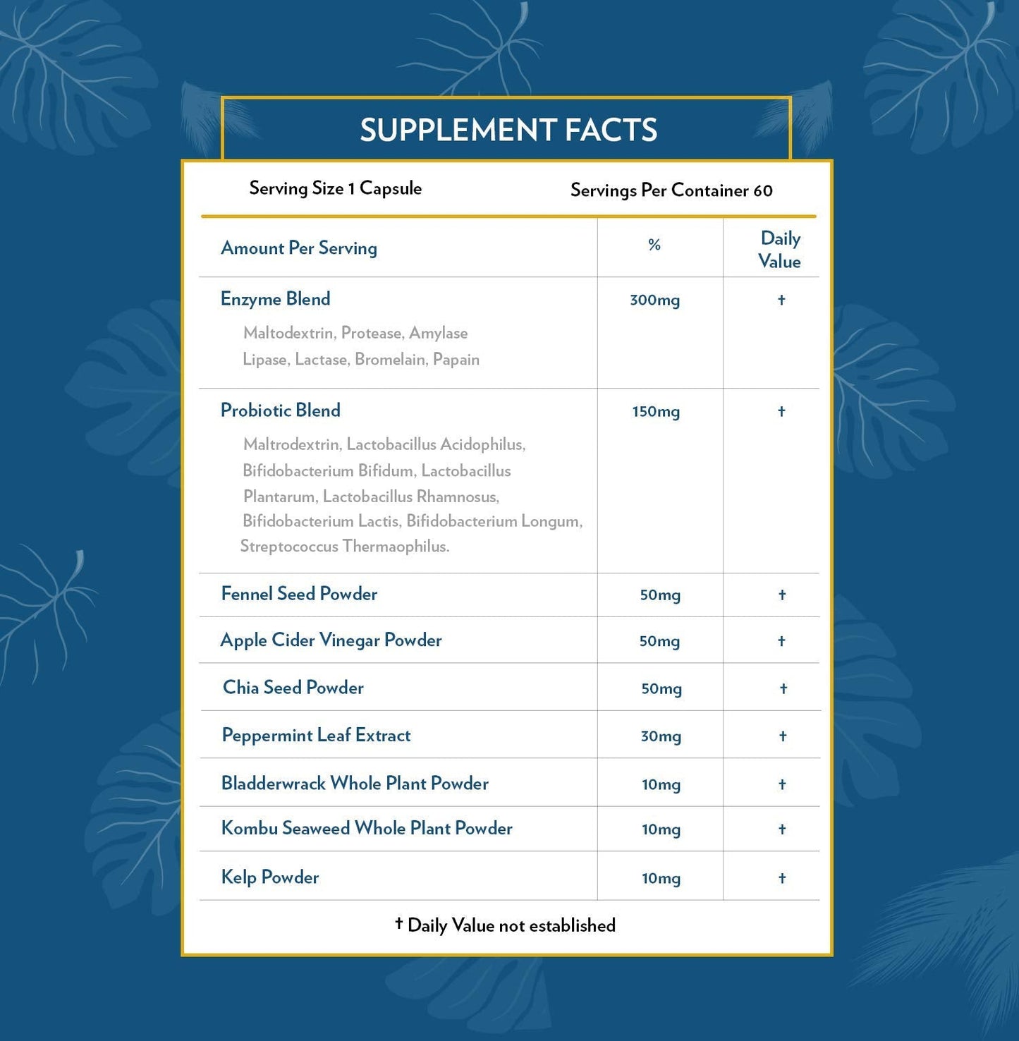 TERRA ORIGIN Digestive Enzymes with Probiotics & Prebiotics | 60 Caps