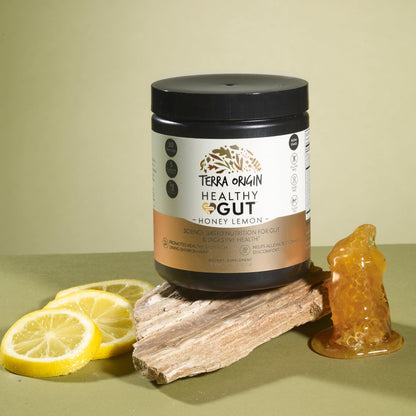 Terra Origin Healthy Gut Powder (Honey Lemon) – 30 Servings | L-Glutamine, Zinc, Slippery Elm & More