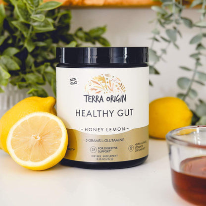 Terra Origin Healthy Gut Powder (Honey Lemon) – 30 Servings | L-Glutamine, Zinc, Slippery Elm & More