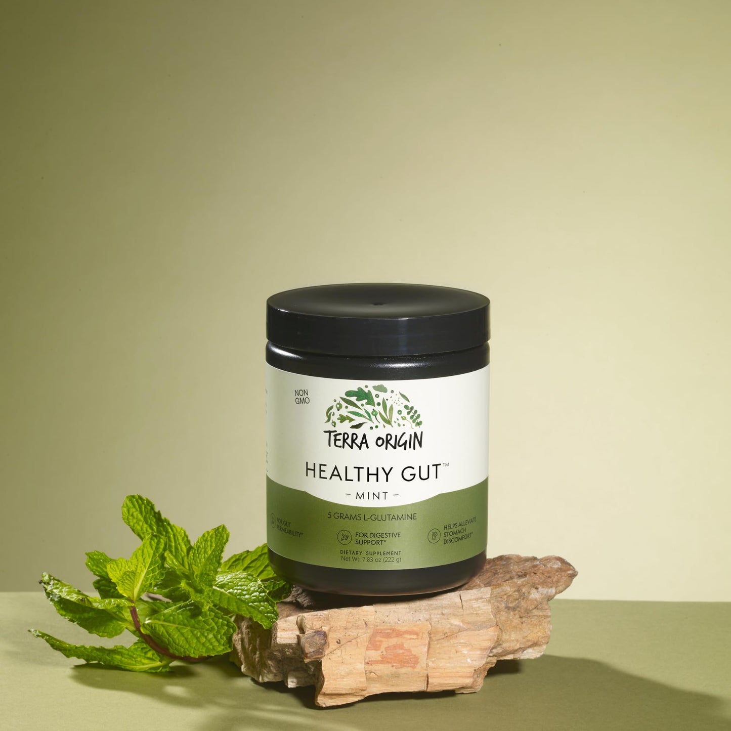 Terra Origin Healthy Gut Mint Flavor | 30-Servings with L-Glutamine, Zinc, Glucosamine & More