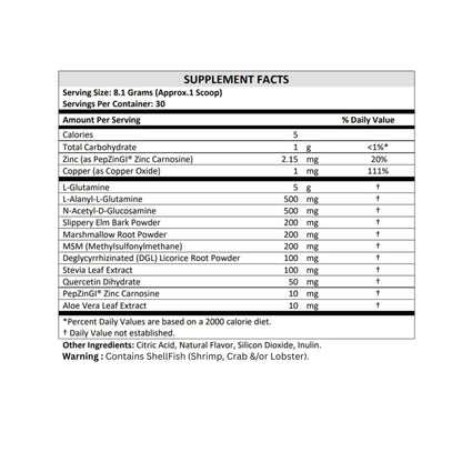 Terra Origin Healthy Gut Mint Flavor | 30-Servings with L-Glutamine, Zinc, Glucosamine & More
