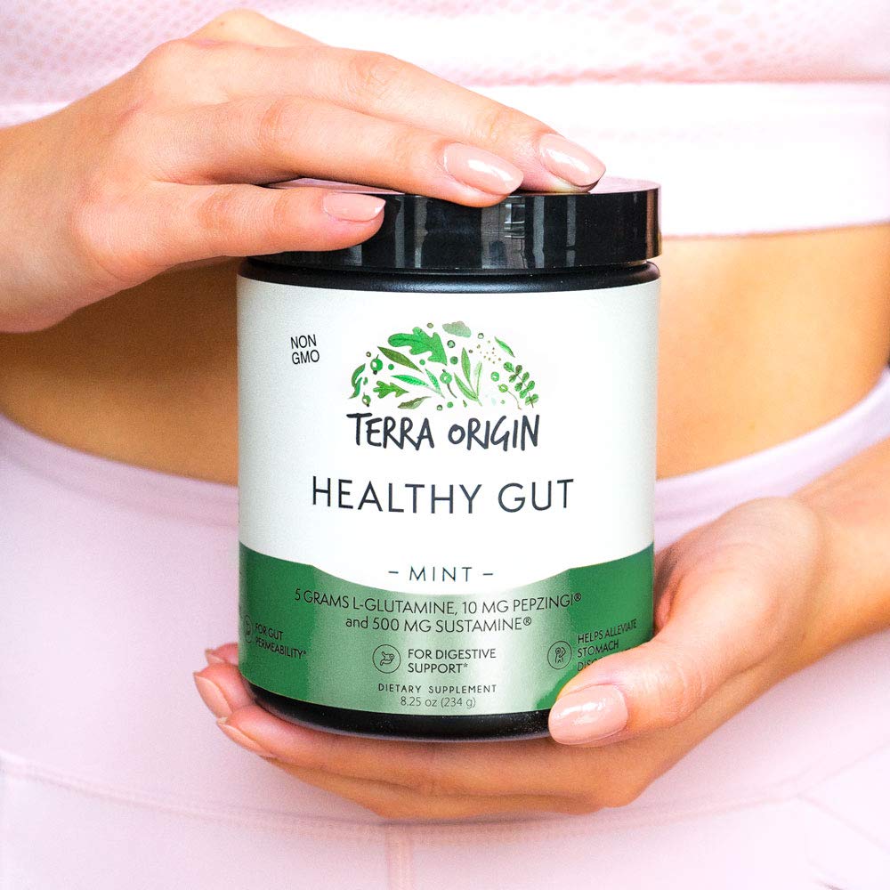 Terra Origin Healthy Gut Mint Flavor | 30-Servings with L-Glutamine, Zinc, Glucosamine & More