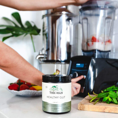 Terra Origin Healthy Gut Mint Flavor | 30-Servings with L-Glutamine, Zinc, Glucosamine & More