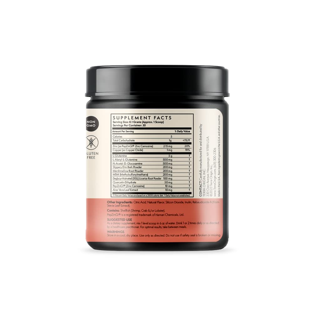 Terra Origin Healthy Gut Watermelon – 30 Servings with L-Glutamine & Zinc