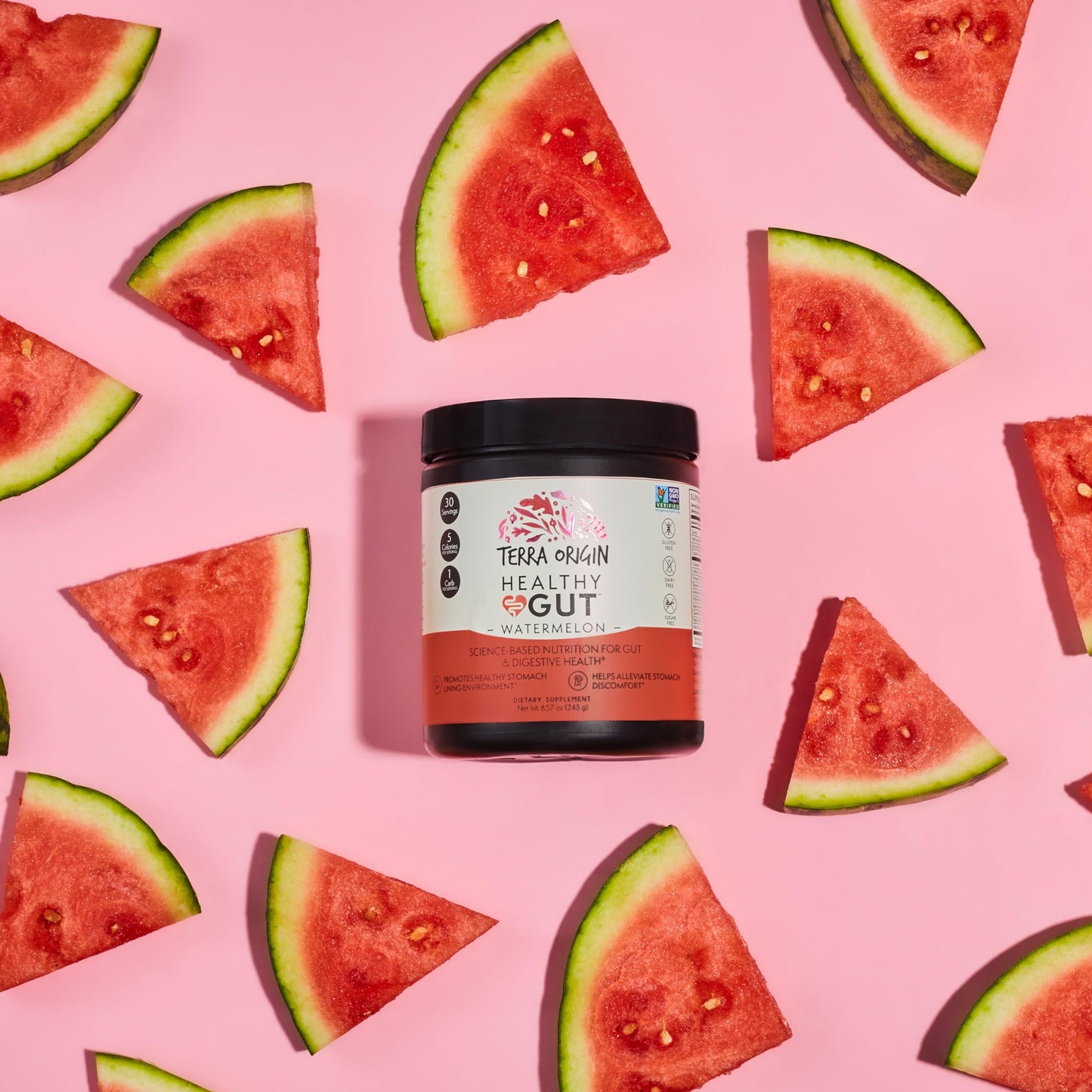 Terra Origin Healthy Gut Watermelon – 30 Servings with L-Glutamine & Zinc
