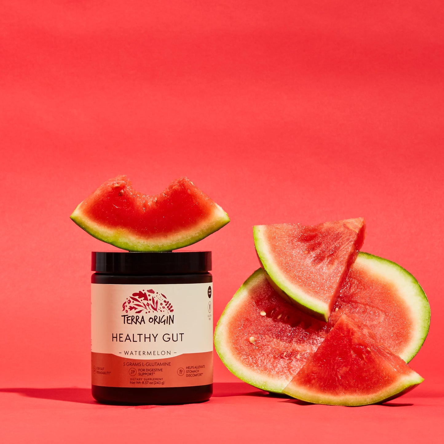 Terra Origin Healthy Gut Watermelon – 30 Servings with L-Glutamine & Zinc