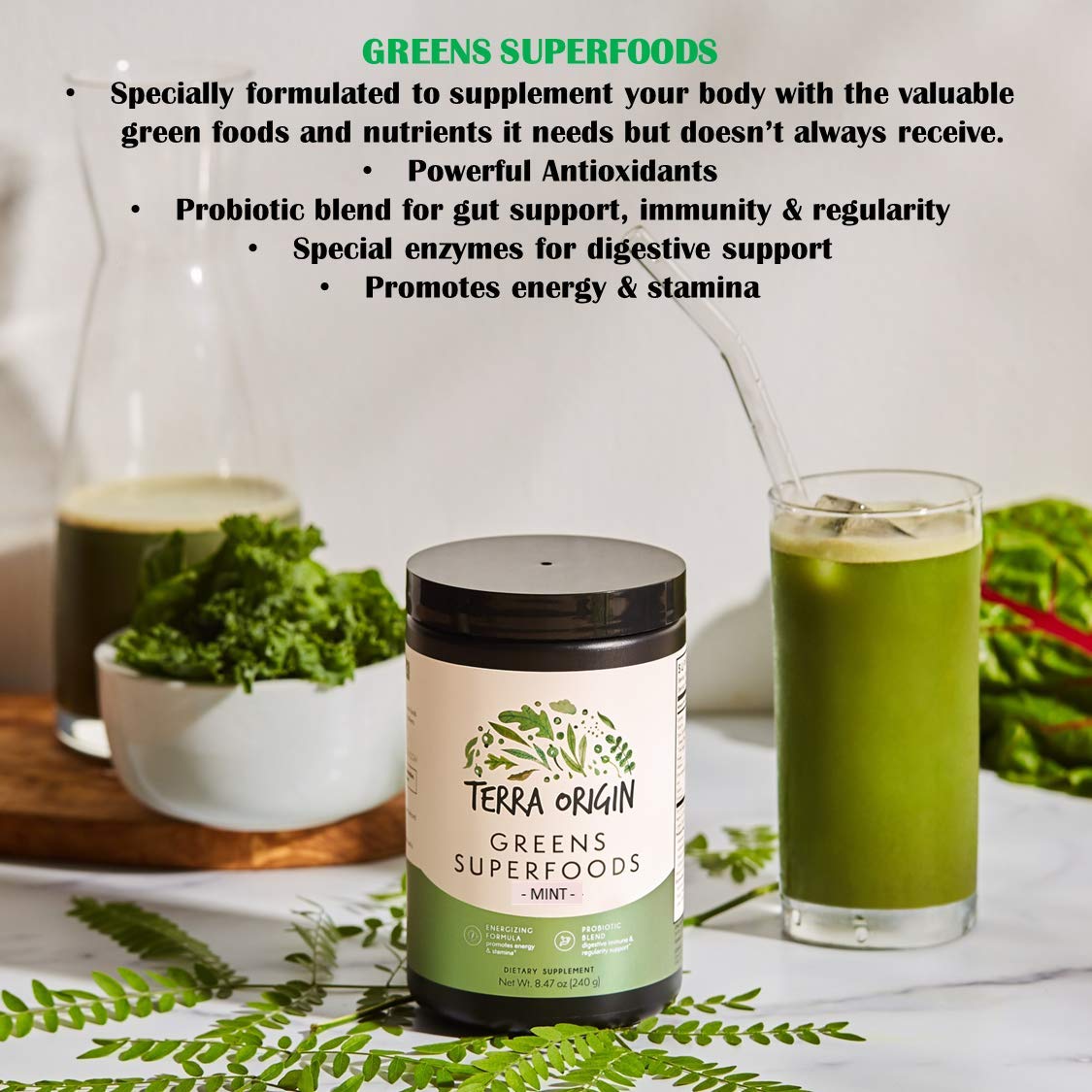 TERRA ORIGIN Greens Powder with Probiotics & Ashwagandha – Digestive Enzymes, Gut Health, Immune Support | Mint | 30 Servings