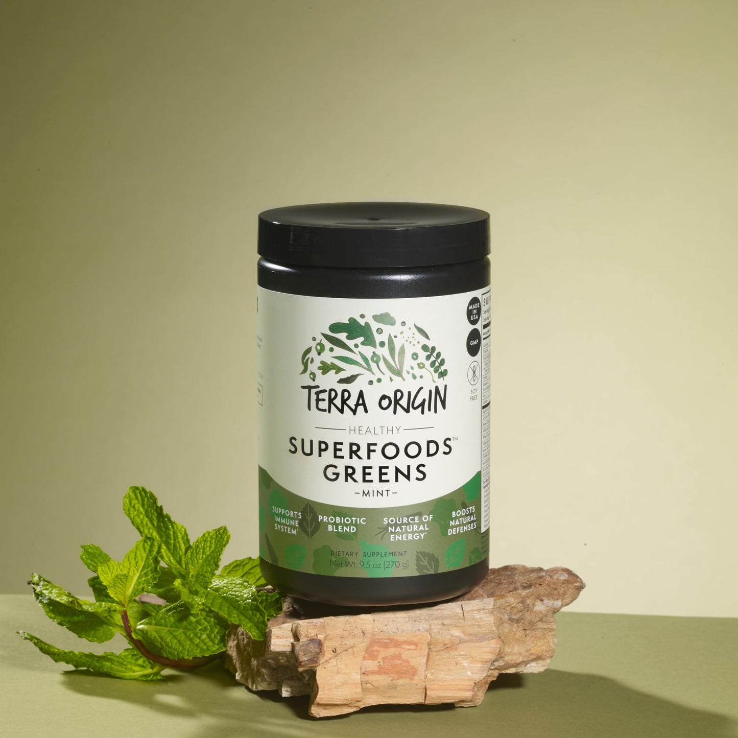 TERRA ORIGIN Greens Powder with Probiotics & Ashwagandha – Digestive Enzymes, Gut Health, Immune Support | Mint | 30 Servings