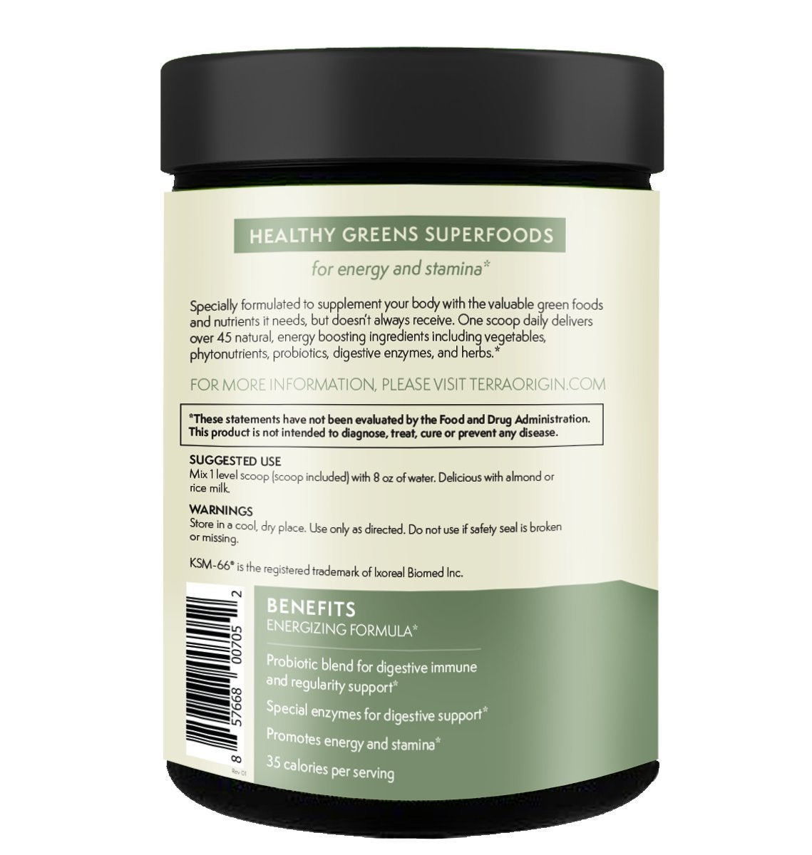 TERRA ORIGIN Greens Powder with Probiotics & Ashwagandha – Digestive Enzymes, Gut Health, Immune Support | Mint | 30 Servings
