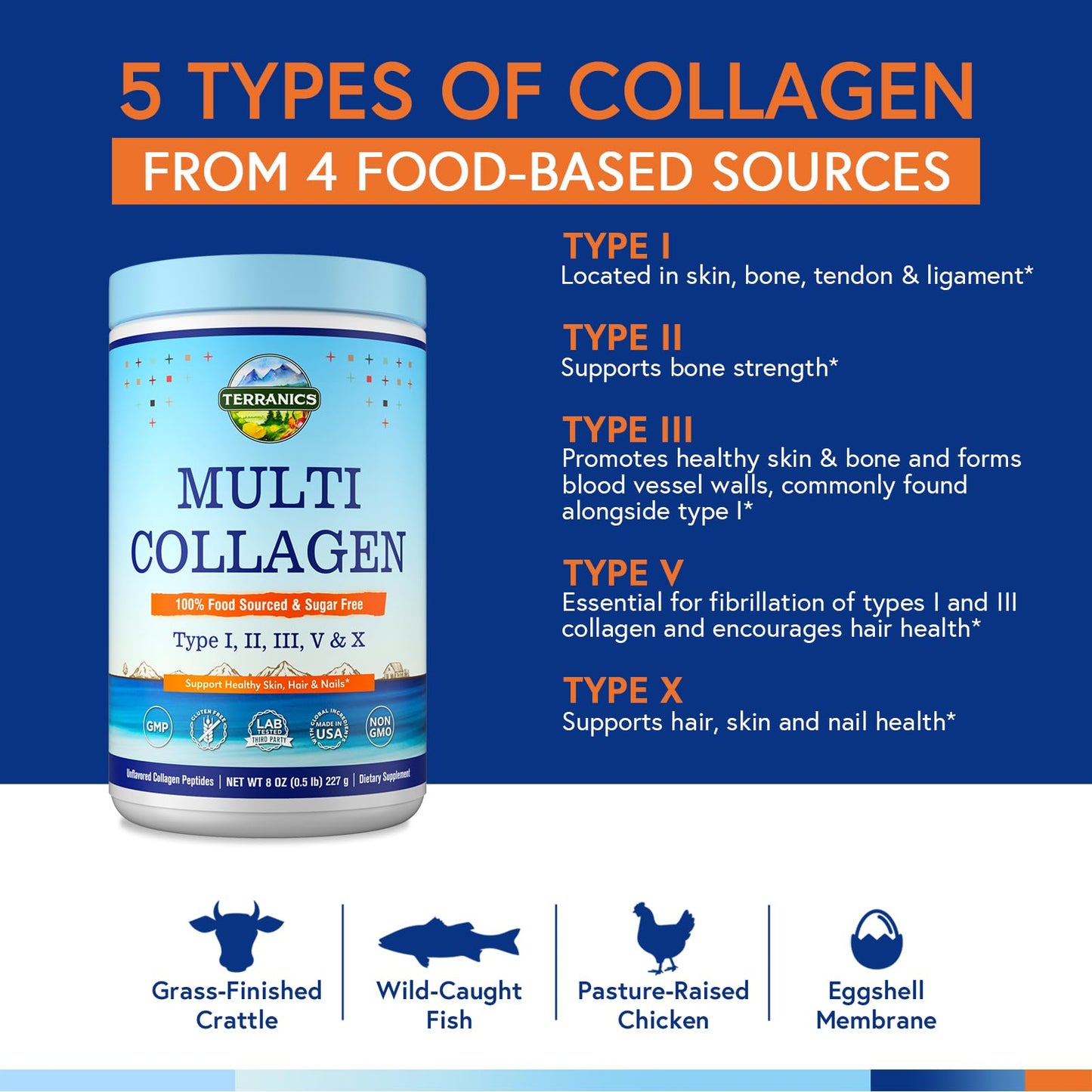 Terranics Multi Collagen Peptides – Type I II III V X, Unflavored