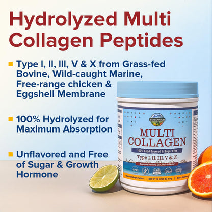 Terranics Multi Collagen Peptides Powder – Hydrolyzed Collagen Types I II III V X, Unflavored, No Sugar, Keto, 16oz