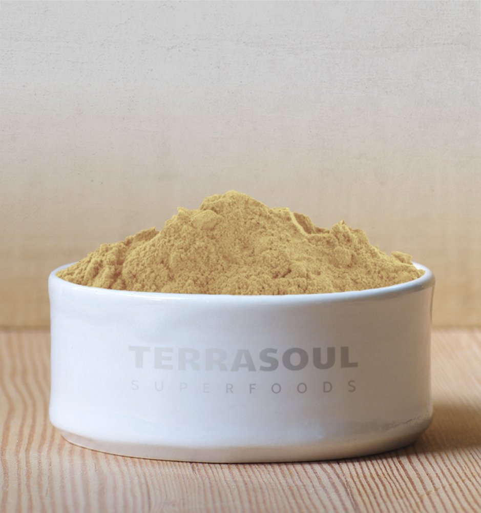 Terrasoul Organic Amla Berry Powder (Amalaki) – 2 Lbs, Vitamin C & Immunity Support