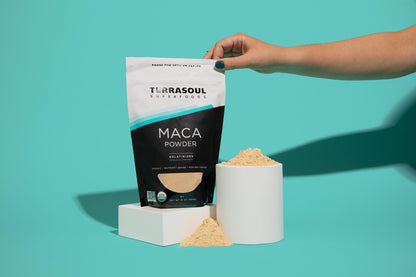 Terrasoul Organic Gelatinized Maca Powder 16oz – Hormone Balance & Energy