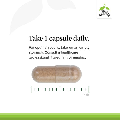 Terry Naturally Adaptra - Supplement to Support Adrenal Health - Ashwagandha Supplement with Rhodiola Rosea Extract - Herbal Supplement to Support Energy & Concentration - 60 Capsules