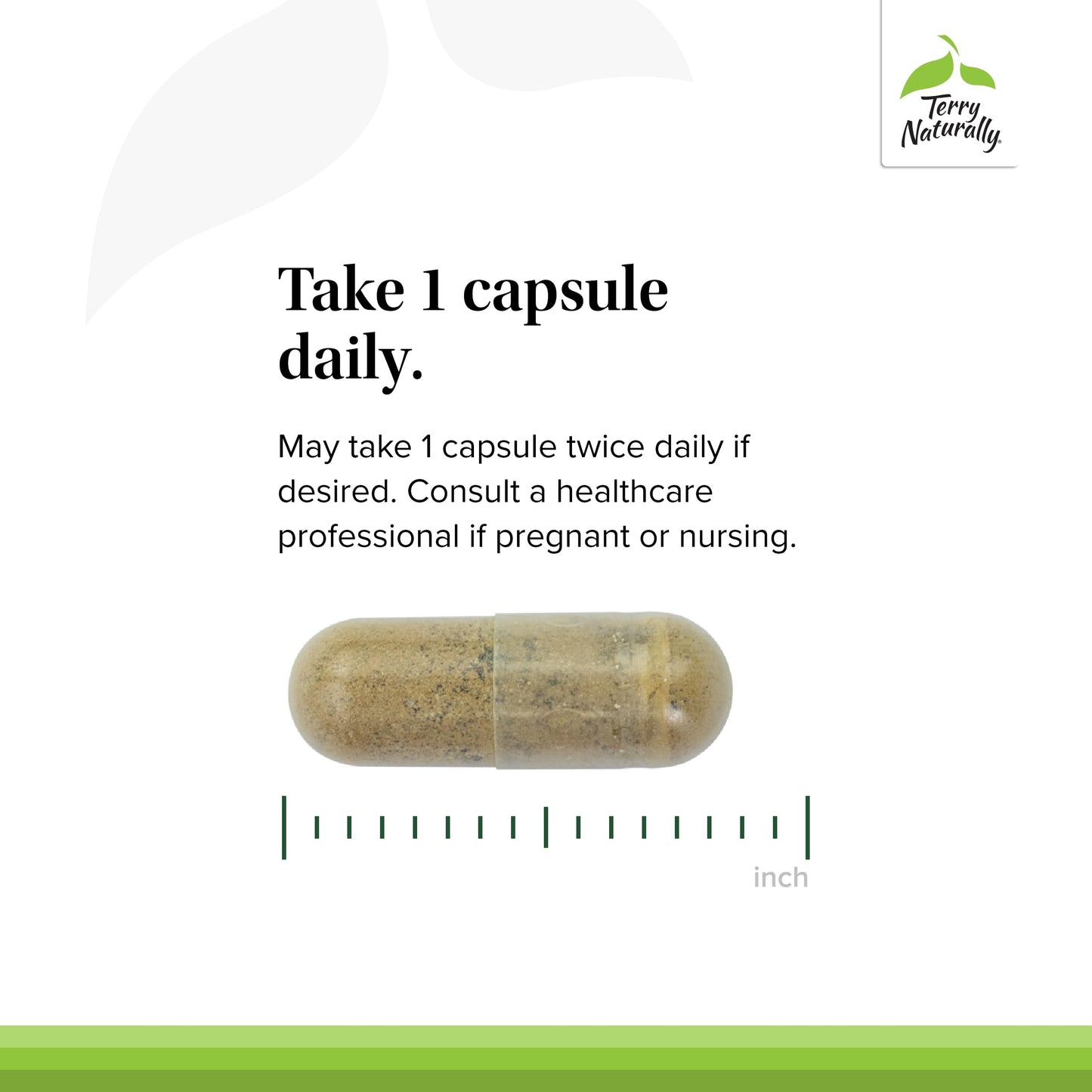 Terry Naturally Andrographis & Ashwagandha – Immune & Energy Support – 60 Capsules