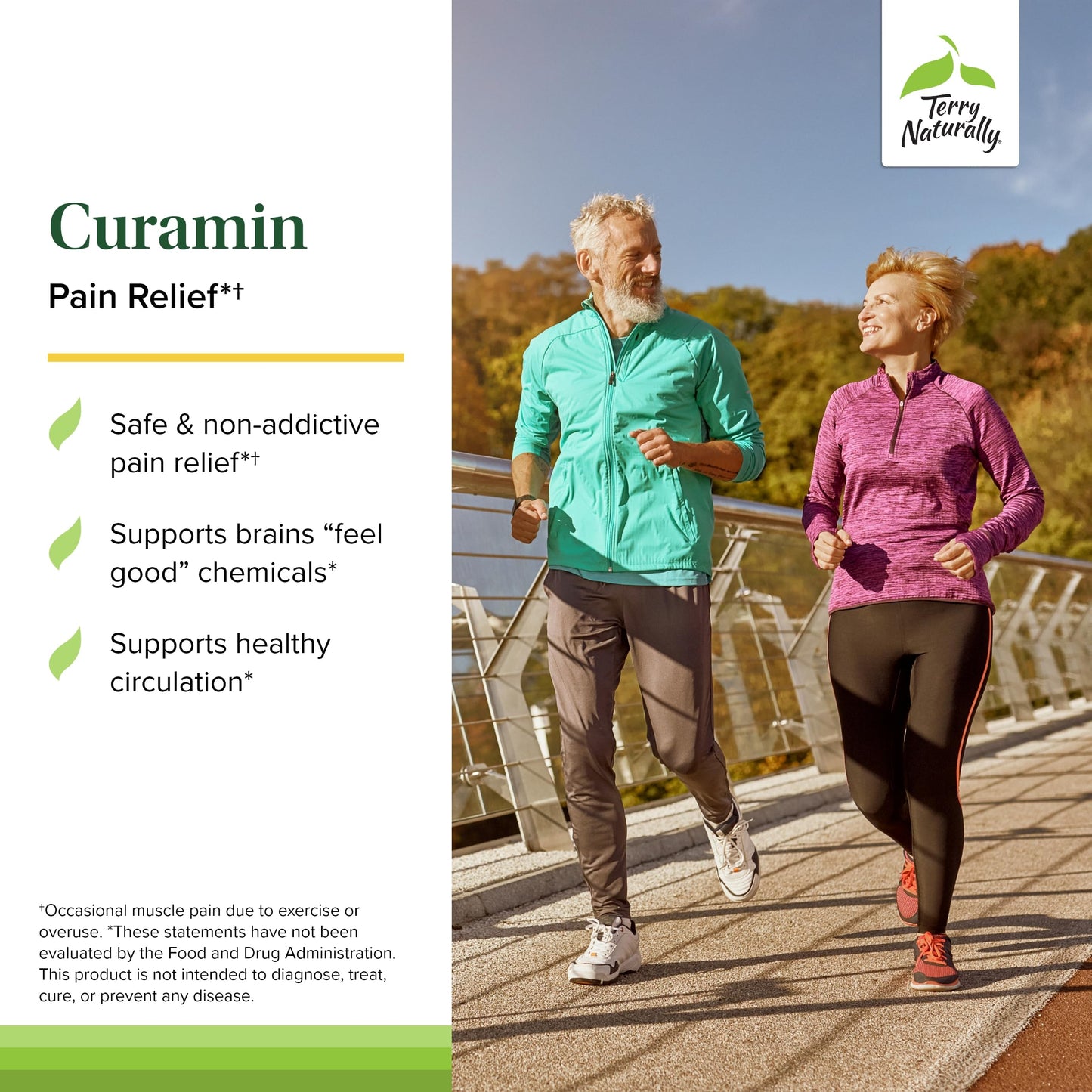 Terry Naturally Curamin – Curcumin for Circulation & Endorphin Support – 120 Capsules (Pack of 2)