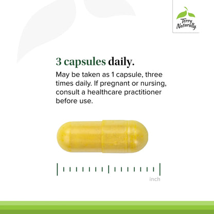 Terry Naturally Curamin - Curcumin with Boswellia, DLPA & Nattokinase - 90 Vegan Capsules BritishVita | Premium UK Vitamins & Wellness Supplements