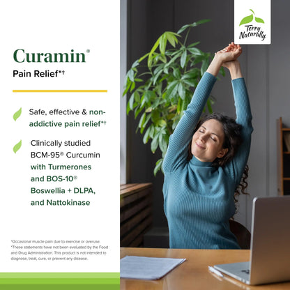 Terry Naturally Curamin - Curcumin with Boswellia, DLPA & Nattokinase - 90 Vegan Capsules BritishVita | Premium UK Vitamins & Wellness Supplements