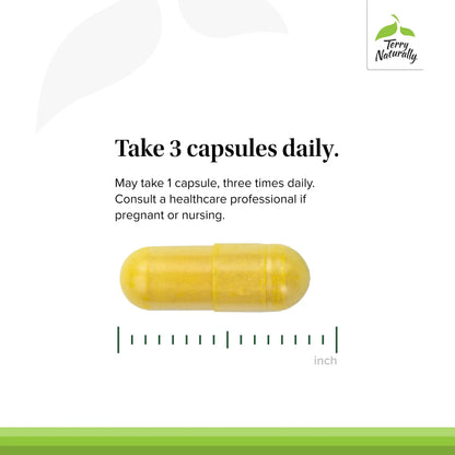 Terry Naturally Curamin – Curcumin for Circulation & Endorphin Support – 120 Capsules BritishVita | Premium UK Vitamins & Wellness Supplements