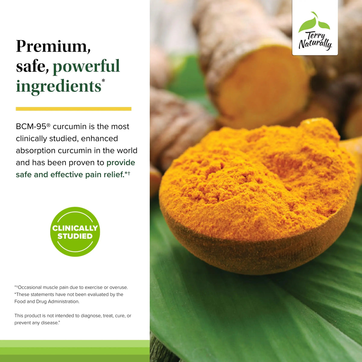 Terry Naturally Curamin - Curcumin with Boswellia, DLPA & Nattokinase - 90 Vegan Capsules BritishVita | Premium UK Vitamins & Wellness Supplements
