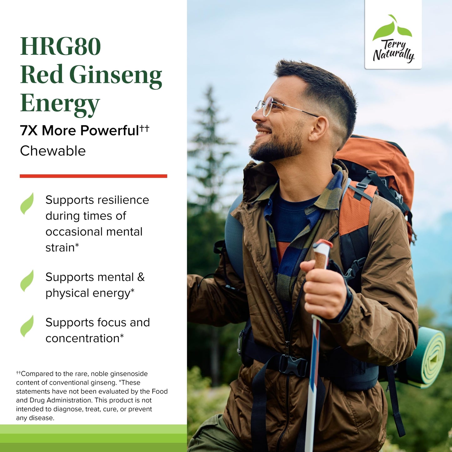 Terry Naturally HRG80 Red Ginseng Energy – Focus & Endurance | Vegan Tablets