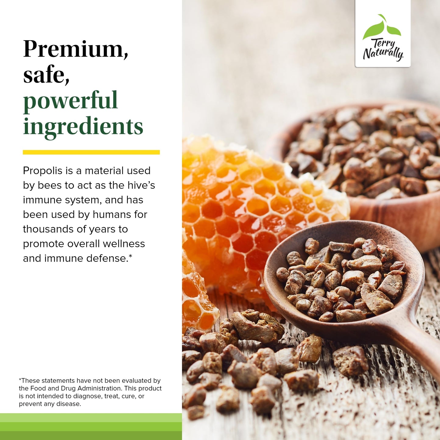 Terry Naturally Propolis Extract EP300 – Upper Respiratory & Immune Support | Non-GMO Propolis | 60 Chewable Tablets