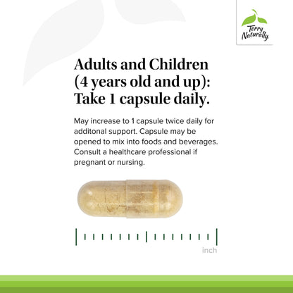 Terry Naturally Propolis EP300 - Immune & Respiratory Support - 60 Capsules