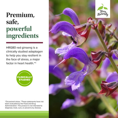 Terry Naturally Red Sage Plus with HRG80 Red Ginseng - Heart Health