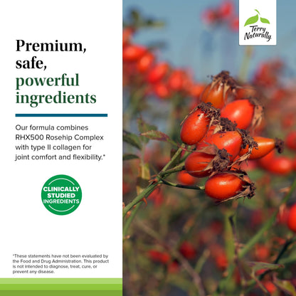 Terry Naturally Rosehip Joint Comfort - Joint Mobility & Flexibility Support - Type II Collagen - 60 Capsules