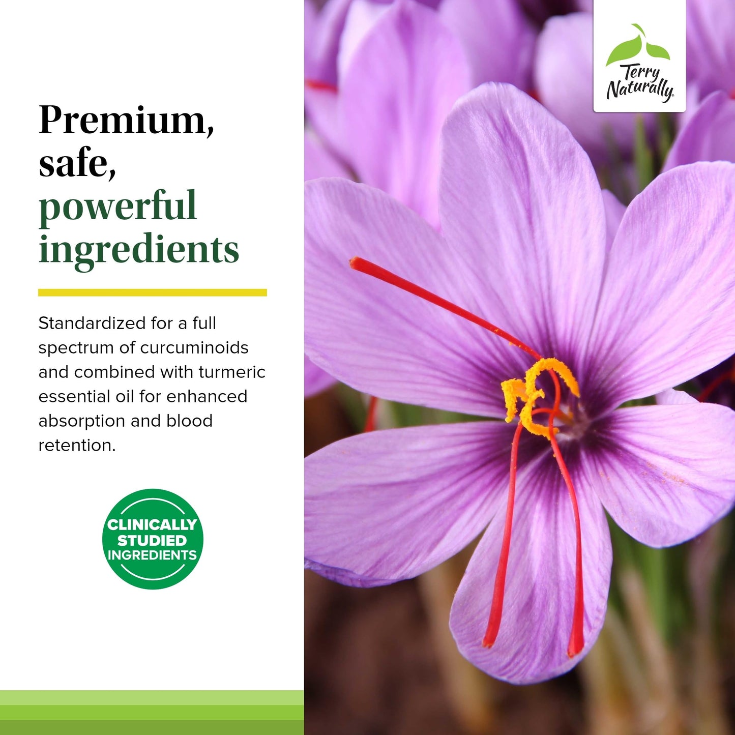 Terry Naturally Saffron Lift + Curcumin – Non-GMO Saffron & Curcumin Capsules | Concentration & Relaxation Support | Pack of 2 (120 Capsules)