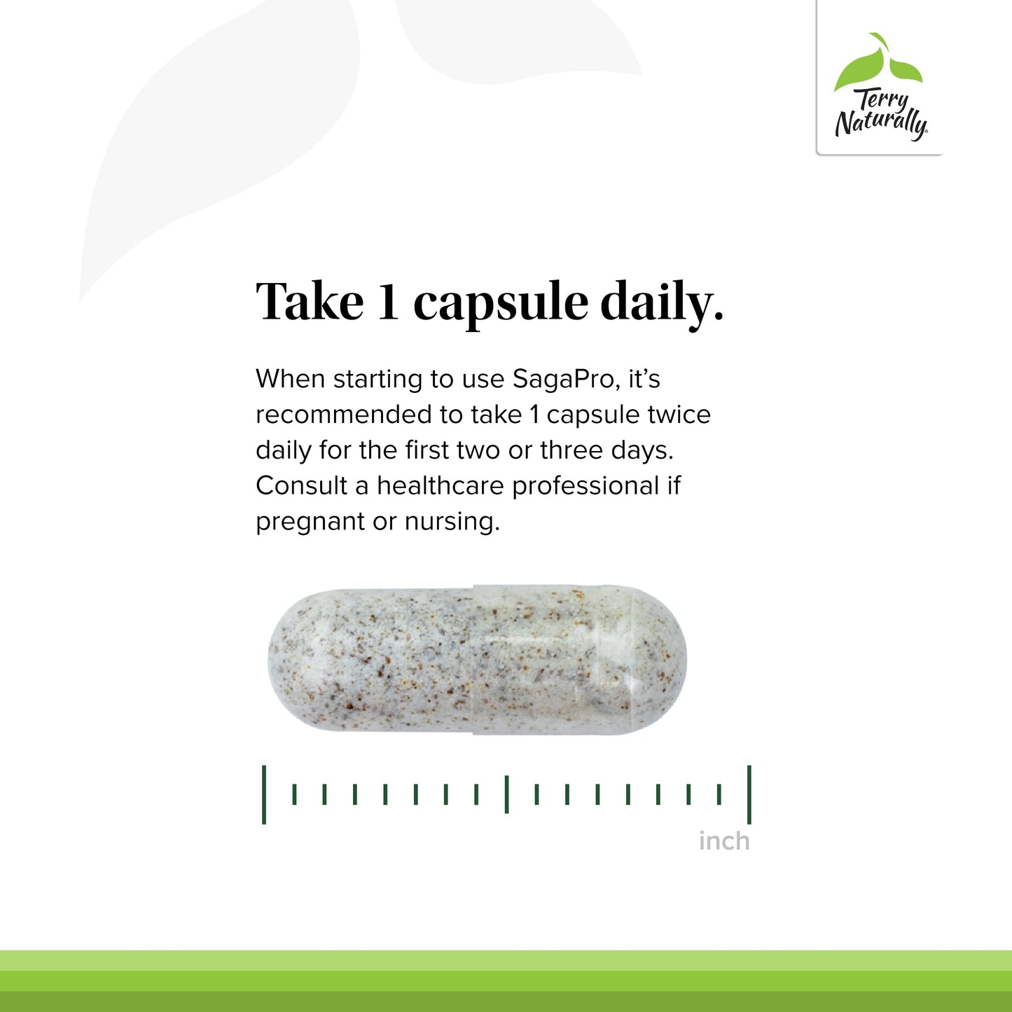 Terry Naturally SagePro Bladder: Bladder Support | Angelica Leaf Extract | Vegan 30 Capsules
