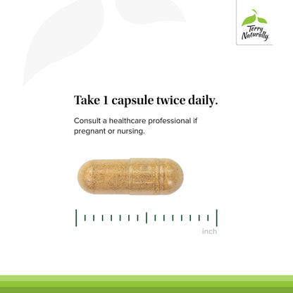 Terry Naturally Stomach & Intestinal Relief – Digestive Health Support, 60 Capsules
